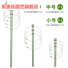 爬藤固定器植物便携固定爬藤支架植物月季爬藤架伸缩花架子室内爬藤攀爬网 三件组合装