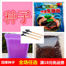 花卉种子 蓝雪花种子 阳台盆栽 蓝白混色爬藤绿植花卉花籽花期长 混色20粒+盆+生根粉+营养土+工具