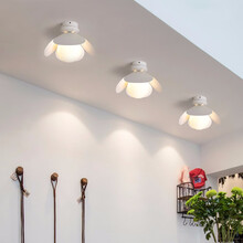 尊光 衣帽间灯小吸顶灯LED北欧简约现代创意个性入户灯门厅灯玄关灯进门灯卫生间灯厨房灯过道灯走廊灯 哑白款直径26cm【三色】