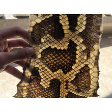 厂家直销缅甸蟒皮尾巴根中胡皮二胡皮乐器配件坠琴二弦皮满 B系 中间宽12-13cm