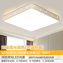 led吸顶灯长方形客厅灯2019年新款大灯卧室灯具简约现代大气家用房间餐厅灯过道走廊灯阳台灯饰网红 【今日优惠】蝴蝶花方55厘米无极遥控