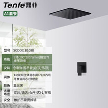 鼎菲(Tenfe)亚光黑单功能暗装淋雨喷头套装入墙式浴室花洒方形顶喷 吊管 单功能阀体配8寸顶喷