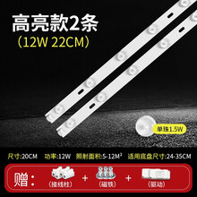 汇炫 led灯条吸顶灯灯芯改造灯板灯带灯盘灯泡长条节能透镜贴片光源 22CM一拖二 12W 白
