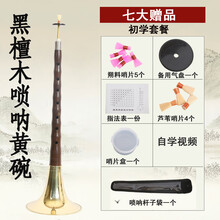 唢呐乐器调全套演奏厂家直销红木/乌木杆初学者成人唢呐 D调黄碗+七大