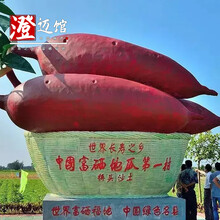 海南澄迈特产 | 桥头地瓜 长寿之乡珍品 富硒地瓜沙地红薯 礼盒中果5斤装