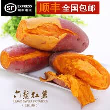 （顺丰速发）福建六鳌蜜薯5斤现挖新鲜红薯农家自种蜜薯红心地瓜糖心番薯 小果5斤装