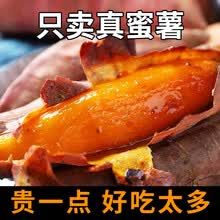 红薯新鲜农家番薯地瓜自种糖心蜜薯净重5斤单果三两 以上