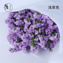 [悦多彩] 鲜花速递 情人节生日礼物 勿忘我 水晶草 情人草家用办公室水养鲜花 浅紫色勿忘我500克