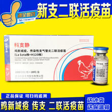 鸡疫苗 点眼滴鼻 鸽子疫苗 新支二联 新城疫传染性支气管二联苗  西蜀农大 新支二联H120一瓶价