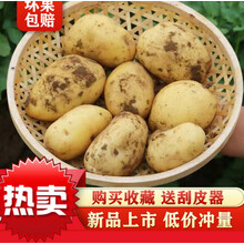 云南新鲜现挖大土豆批发黄心土豆5/10斤马铃薯士豆鲜洋芋土豆 白皮 10斤带箱【小号】净重9-9.5斤