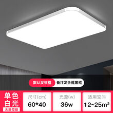 led吸顶灯客厅现代简约长方形主卧室灯大厅家用吸灯顶阳台灯超亮 银色新苹果 45*45三色24W