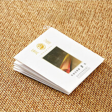 朱雀古筝琴弦红弦旗舰店通用专用标准琴弦古筝1-21弦德国进口钢丝尼龙弦 朱雀14弦