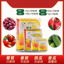 美国仙农 喷克 80%代森锰锌 叶斑病霜霉病农药杀菌剂 25g