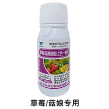 一喷红催红素草莓 葡萄 西红柿苹果菇娘催熟剂催红剂上色着色剂 草莓/菇娘专用一喷红