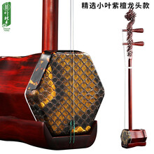 竹林丰 小叶紫檀二胡乐器苏州手工蒙皮 二胡初学练习专业考级演奏二胡成人儿童通用 金花蟒皮小叶紫檀龙头款+防震琴盒+豪华初学大礼包