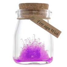 儿童steam趣味科学实验化学水晶种植生长许愿晶灵许愿瓶小学生创意玩具生日礼物暑假 化学水晶生长许愿晶灵-紫