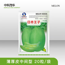 中科茂华瓜果种子玉金香金红瑞杂交厚皮甜瓜种子新碧玉绿皮日本王子肉厚香瓜种籽腔小超甜多汁含糖19度 日本王子20粒/袋【试种装】