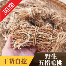 康中尊 广西特级五指毛桃根五爪龙自然晾晒干品煲汤泡酒食