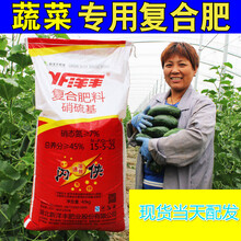 蔬菜瓜果专用复合肥通用型水溶肥料盆栽花有机肥种菜家用尿素钾磷 磷肥9斤
