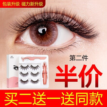 网红同款 3D磁铁假睫毛 浓密自然纤长微翘 免胶水磁石假睫毛套装 磁性自粘假眼睫毛3对装 2盒