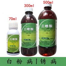 三唑酮三唑铜果树锈病月季药多肉药花卉白粉病杀菌剂粉锈宁 500ml