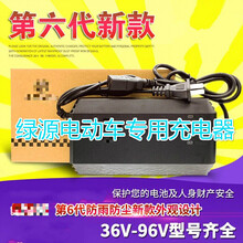 适用绿-源电动电瓶车充电器36V48V60V64V72V80V12AH20E-T/30E原装电池 新款48V20E-2T 两孔