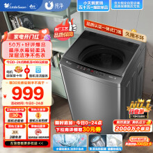 小天鹅（LittleSwan）波轮洗衣机全自动 10公斤大容量 升级鲸浪柔洗 免清洗不脏桶 除螨  以旧换新TB100V23H
