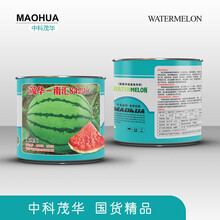 中科茂华瓜果种子 早佳传奇8424西瓜种子 新疆麒麟京欣西瓜种子 薄皮抗裂 超甜多汁 吃一口想两口 南汇8424 50克/盒【上海类型】