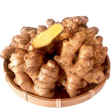 云南特产罗平小黄姜5斤新鲜蔬菜调味料生姜母 农家月子老土姜