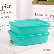 特百惠冷藏果菜小方盒保鲜冷藏盒250ml迷你零食盒冷藏盒密封保鲜盒 两个装（颜色随机）