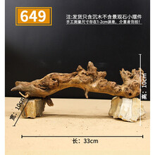 精品沉木大号珊瑚木鱼草缸造景原生天然流木装饰树根杜鹃根新品 珊瑚木649