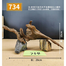 精品沉木大号珊瑚木鱼草缸造景原生天然流木装饰树根杜鹃根新品 珊瑚木734