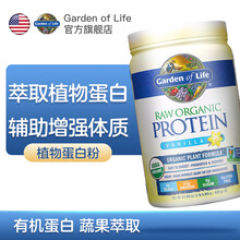 雀巢Garden of Life（译:生命花园)有机植物蛋白粉 健身增肌 香草味 624g