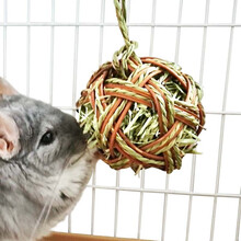 jolly磨牙用品兔子天竺鼠荷兰猪龙猫磨牙食品磨牙苜蓿草饼草球草制品草砖草块兔子龙猫玩具 精编带提草球10CM