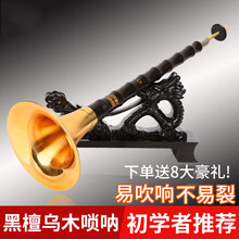 唢呐 精制乌木唢呐  A/B/C/D/E/G/降B唢呐 初学演奏  带哨片 木E调白碗+8大