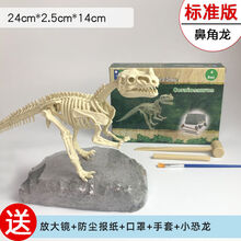 恐龙化石考古挖掘玩具DIY霸王龙骨架手工拼装模型儿童暑假礼物 鼻角龙-标准版