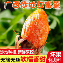 【甜糯细腻】广西沙地红薯新鲜蔬菜批发板栗番薯地瓜蜜薯5/9斤现摘现发红地瓜 9斤 沙地红蜜薯【甜糯细腻】