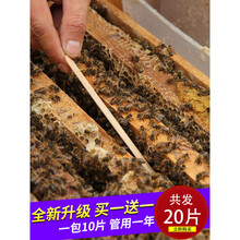 巢虫清木片巢净蜜蜂箱全套中蜂工具巢框白头蛹棉虫绝挂片20片