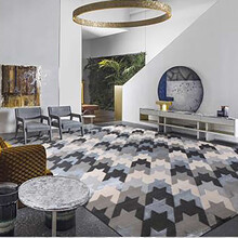 卡缇尔现代轻奢沙发地毯定制客厅北欧简约茶几毯设计师可定制别墅公司加厚地毯卧室床边毯满铺超大型地毯防滑 简雅系列 复杂图形/每平方价格