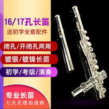 音妙(inmuc)孔C调镀银长笛镍白铜初学演奏乐器白铜E键分割16孔17孔长笛闭孔/开闭孔长笛乐器 17孔开闭孔镀银