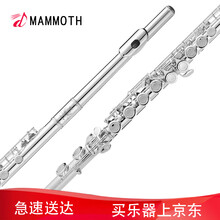 【急速送达】猛犸象一体键盖16孔C调镀银长笛 镍白铜初学演奏乐器白铜E键分割闭孔长笛乐器 闭孔IFL-800