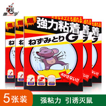 康宇老鼠贴粘鼠板灭大老鼠家用捕鼠器诱杀老鼠强力粘鼠板耗子粘纸 红版5张装