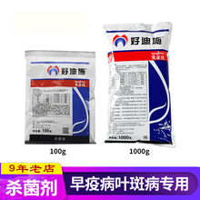 先正达好迪施75%百菌清黄瓜早疫病霜霉病叶斑病农药杀菌剂100克 100g