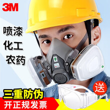 3M 6200防毒防尘七件套防有机气体及蒸汽甲醛化工喷漆农药煤矿适用 6200（半面具） M