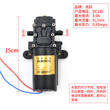 12V农用电动喷雾器水泵隔膜泵智能高压自吸泵大功率打药机配件 虎跃高压泵(2个固定点)