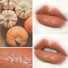 FLORTTE/花洛莉亚奶思唇膏笔哑光丝绒雾面口红笔秋冬流行色唇笔丝滑柔雾浓郁显色 N05赤陶南瓜