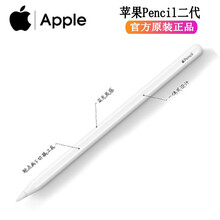 Apple Pencil 苹果手写笔 第二代触控笔 适用于12.9 /11英寸 iPad Pro 白色