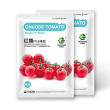 中科茂华蔬菜种子红禧樱桃番茄种子圣女果酸甜口串收小西红柿阳台盆栽易种植50粒