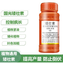 国光50%矮壮素抑灵果树控梢多肉花木花卉矮化剂控旺抗倒伏生长调节剂 500ml