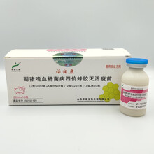 副猪嗜血杆菌四价灭活疫苗猪嗜血杆菌 猪育苗 伪狂犬乙脑病 华宏 副猪疫苗5瓶价格(可打50头猪)